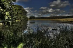 Longhaw-Pond